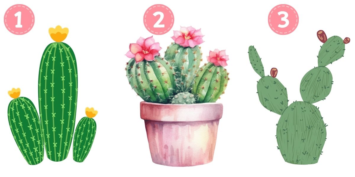 Unearth your personality in today's fun test: what your cactus choice reveals about you!