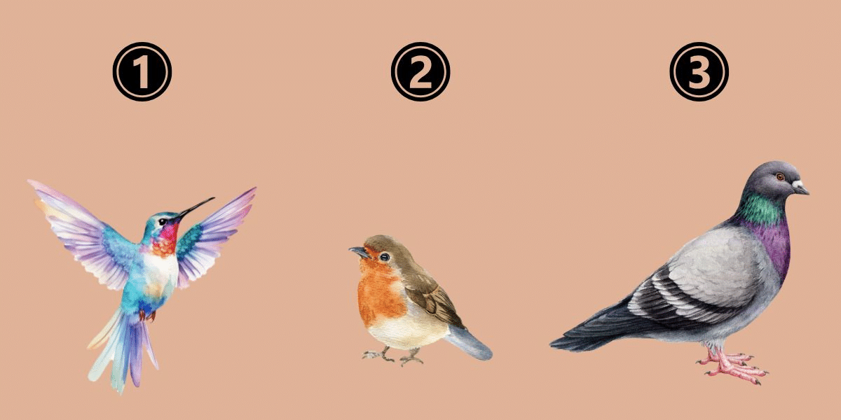 Which bird are you? A fun, insightful test to uncover your dominant personality traits