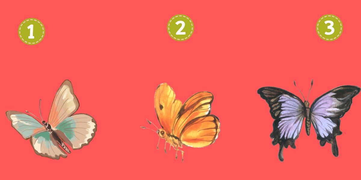 Are you a dreamer, realist, or analyst? Reveal your dominant traits with this butterfly image test