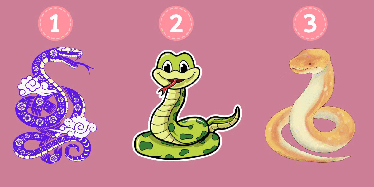 Which snake are you? Uncovering your hidden personality traits through a unique, fun quiz